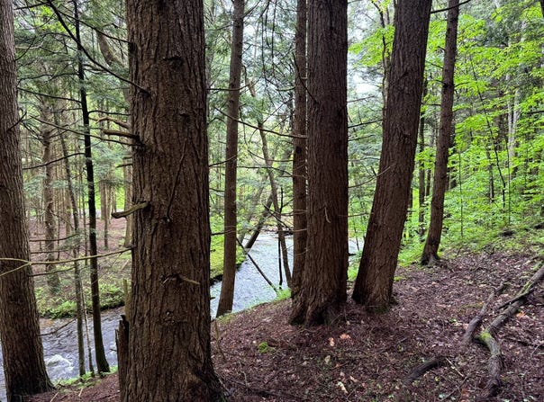 1.5 Jones Road, German, NY 13801
