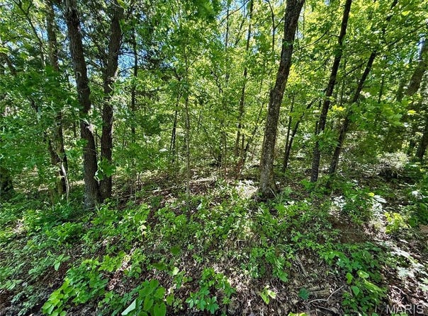 Cyclone Road, Cadet, MO 63630