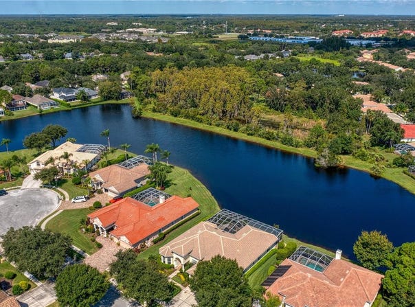 17923 ARBOR HAVEN DRIVE, TAMPA, FL 33647