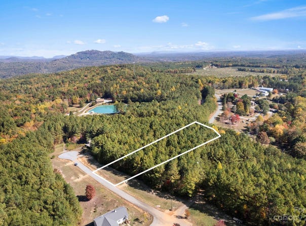 Palisade Drive unit: 26, Rutherfordton, NC 28139