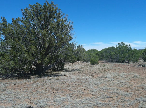 Tbd Show Low 40ac, Show Low, AZ 85901