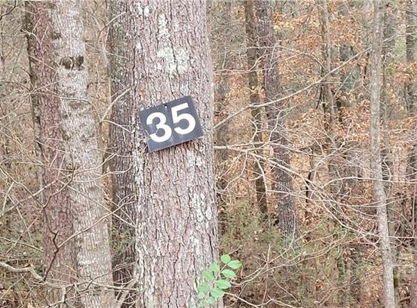 35 Settlers Trail, Mars Hill, NC 28754