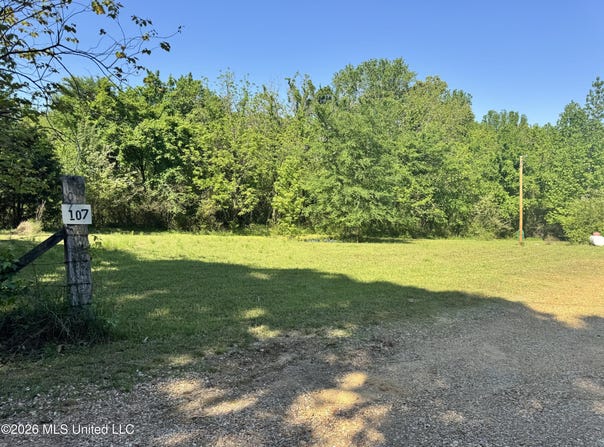 107 Union Valley Road, Byhalia, MS 38611