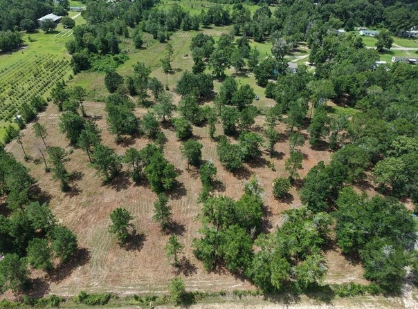 Corn Griffin St, Wewahitchka, FL 32465