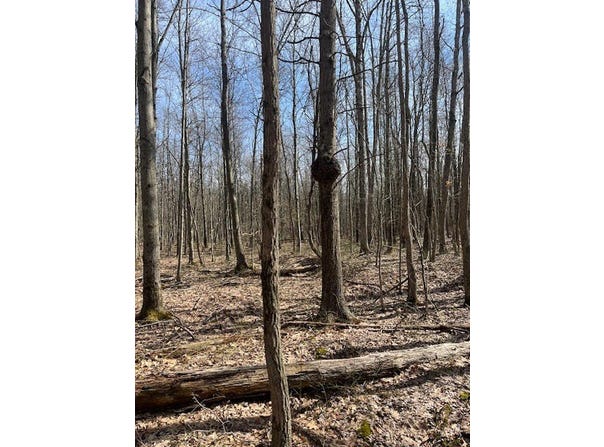 40 Acres 52ND Street, Pullman, MI 49450