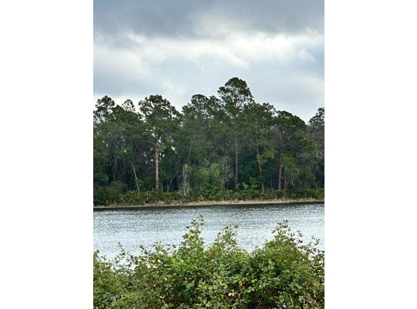 Tbd Lot 49 MALAUKA RADIAL, OCKLAWAHA, FL 32179