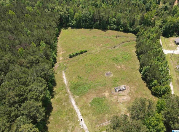 1081 ABEL ROAD, DELTA, AL 36258