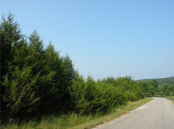 6 Clover  LN Unit #10, Holiday Island, AR 72631