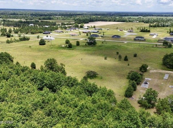 Tbd NE CR 69A Parcel 2, Altha, FL 32421