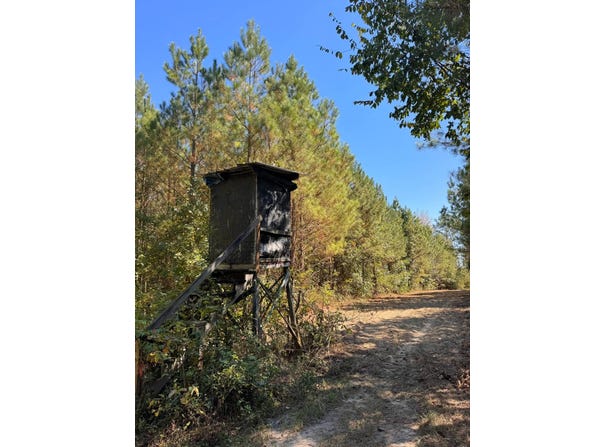 County Road 5, Cuba, AL 36907
