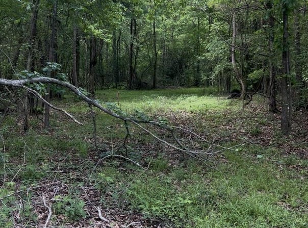 5135 S Hwy 51, Hernando, MS 38632