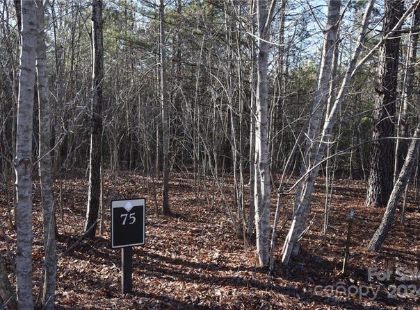 Tayberry Drive lot: 75, Nebo, NC 28761