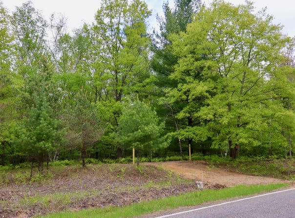 V/L E Levely Road, Rhodes, MI 48652