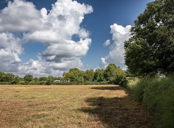 2 Acres Red Fox Road, Tomball, TX 77377