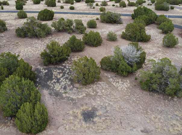 1927 Creekside Circle, Show Low, AZ 85901