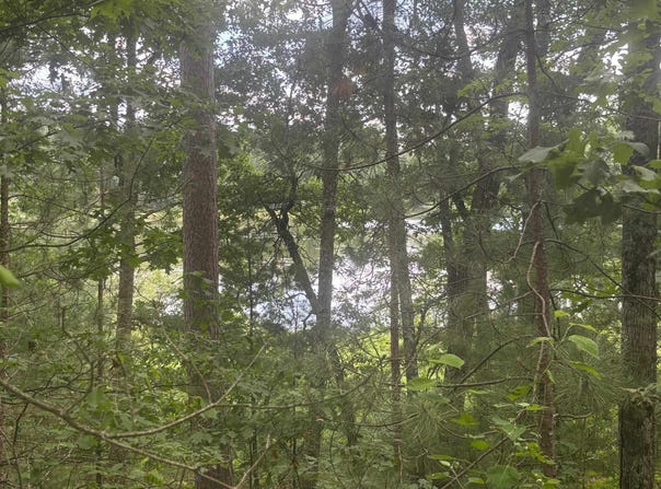 BENNETT Road, AMBERG, WI 54102
