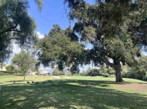 23621 Country Villa Rd, Ramona, CA 92065