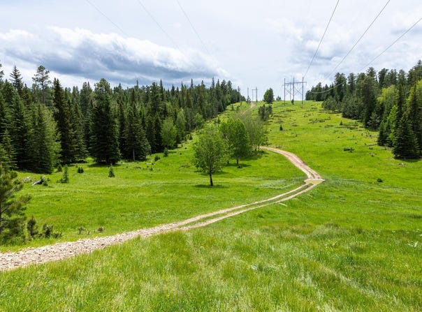256.87 acres Yellow Creek Road, Lead, SD 57754