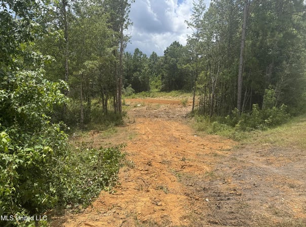 198 Beaver Dam Road, McHenry, MS 39561