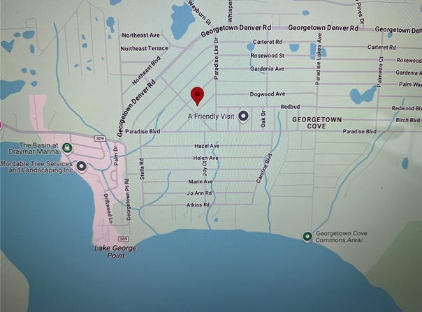 202 SE 4TH STREET, GEORGETOWN, FL 32139