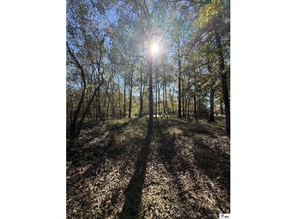 0 lot 3 PLATTS LANDING, Bernice, LA 71222