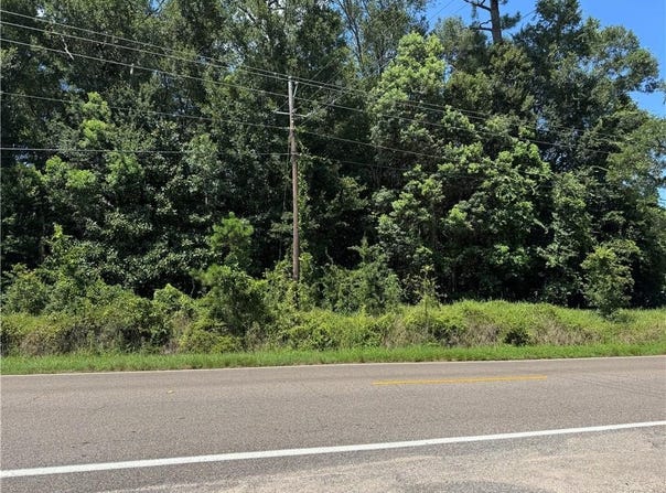 0 Saeger Road, Grand Bay, AL 36541