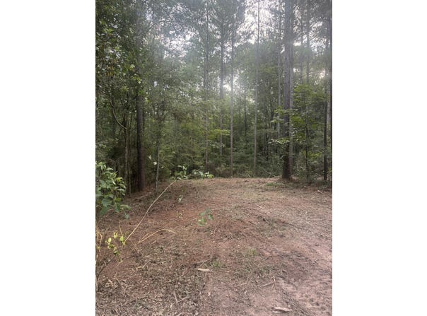 20 MOL AC HWY 42, Petal, MS 39465
