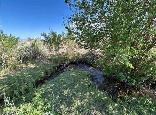 780 DAVIS MEADOW Trail, Dyer, NV 89010