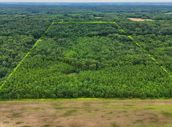 2502 Hwy 163 Highway, Wynne, AR 72396