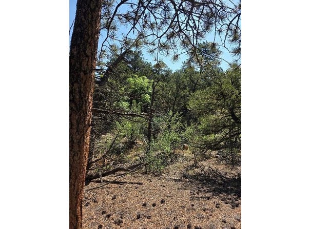 506 Kevin Dr, Cotopaxi, CO 81223