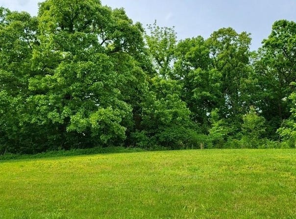 Lot 19 Tbd SE Holstein Drive, Oak Grove, MO 64075