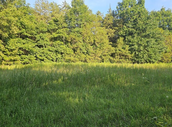 002 Tomahawk Slab Road, Saint Joe, AR 72675