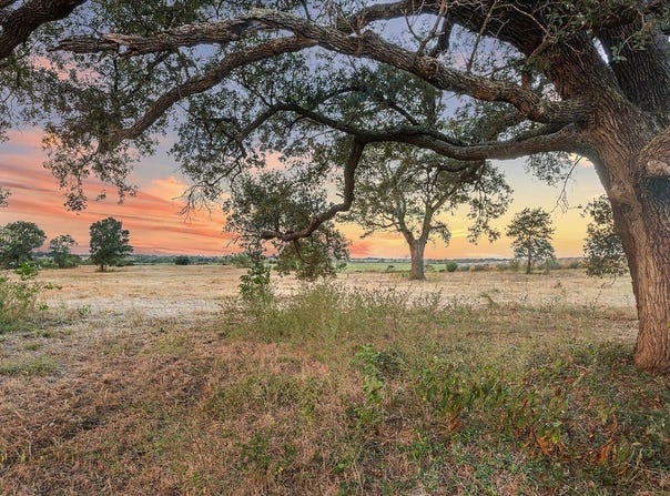 2339 Texas 36, Sealy, TX 77474