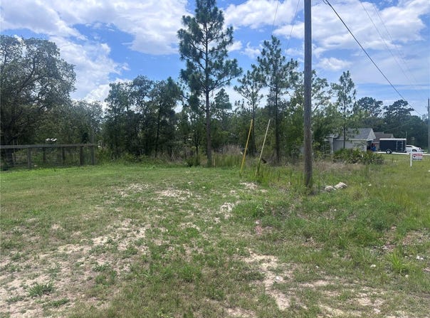 NUSSER AVENUE, WEEKI WACHEE, FL 34613