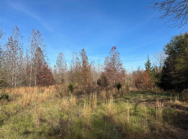 Tract A County Road 1412, Bogata, TX 75426