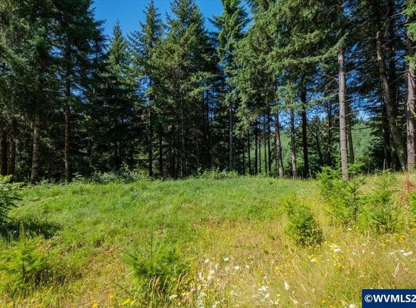 432 Chamberlain (Adj To) Rd, Falls City, OR 97344