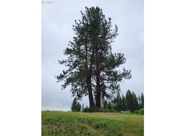 Coombs Loop, Starkey, OR 97850