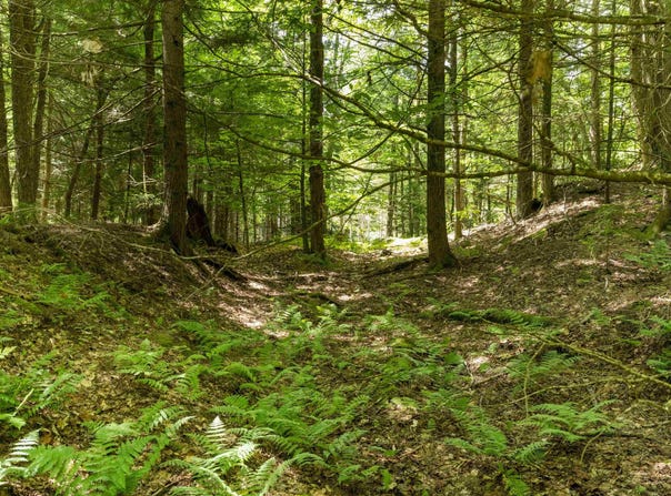 TBD Arbor Lane, Duxbury, VT 05660