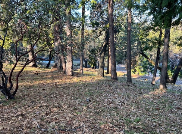 1238 Canyon Ridge Court, Murphys, CA 95247