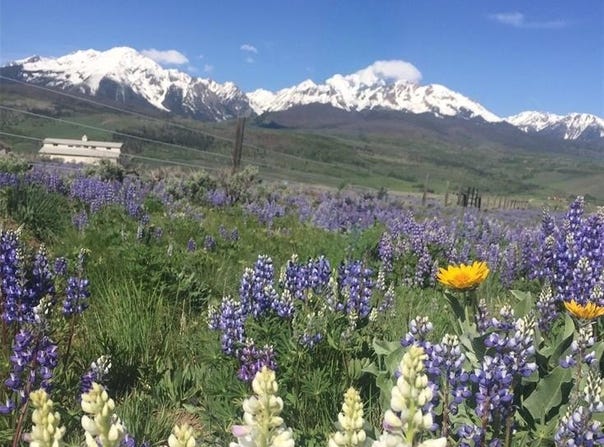 1703 ELK RUN ROAD, Silverthorne, CO 80498
