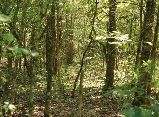 201 E Bo Peep Circle lot: 104, Horseshoe Bend, AR 72512