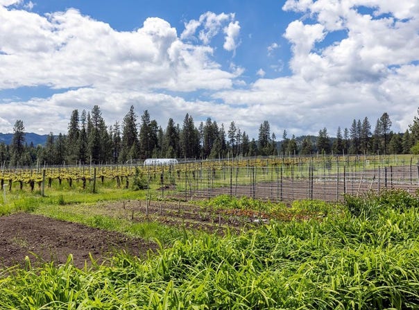 3752 Vineyard Way, Kettle Falls, WA 99141