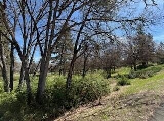 Coopers Hawk Road, Klamath Falls, OR 97601