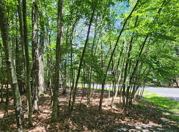 145 & 146 Indian Drive, Greentown, PA 18426