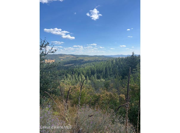 Treetop Ln, Plummer, ID 83851