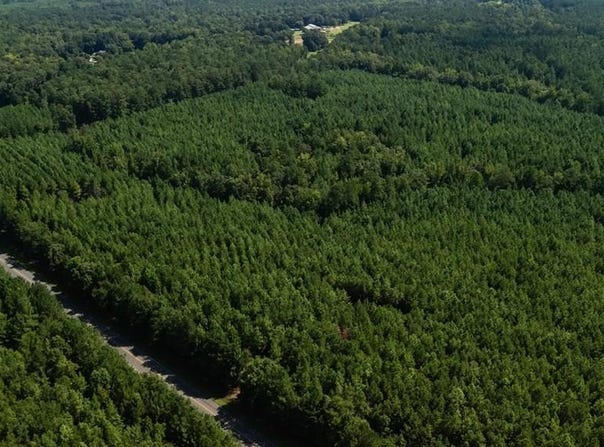 Fortune Hole Road, Hamilton, GA 31811