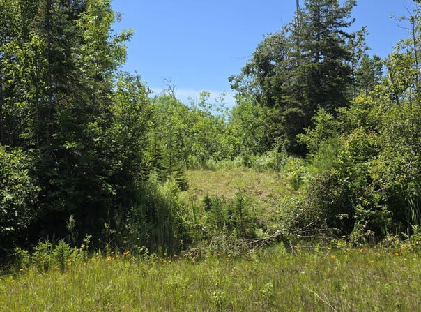 3 acres US 23 N, Ocqueoc, MI 49759