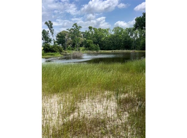 1095 CR 3800, Athens, TX 75751