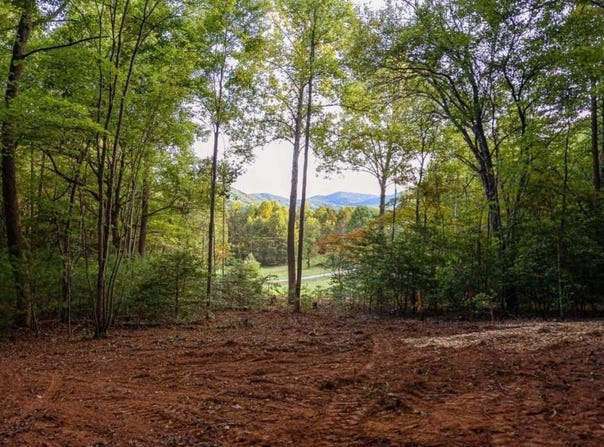 0 Cottonwood Lane, Blue Ridge, GA 30513