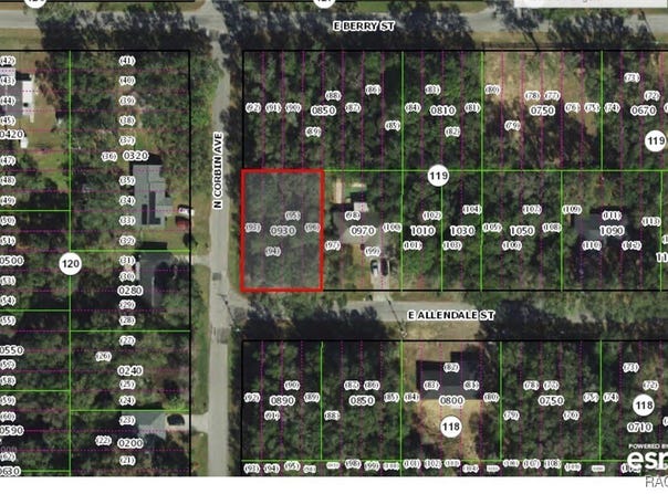 3817 E Allendale Street, Inverness, FL 34453